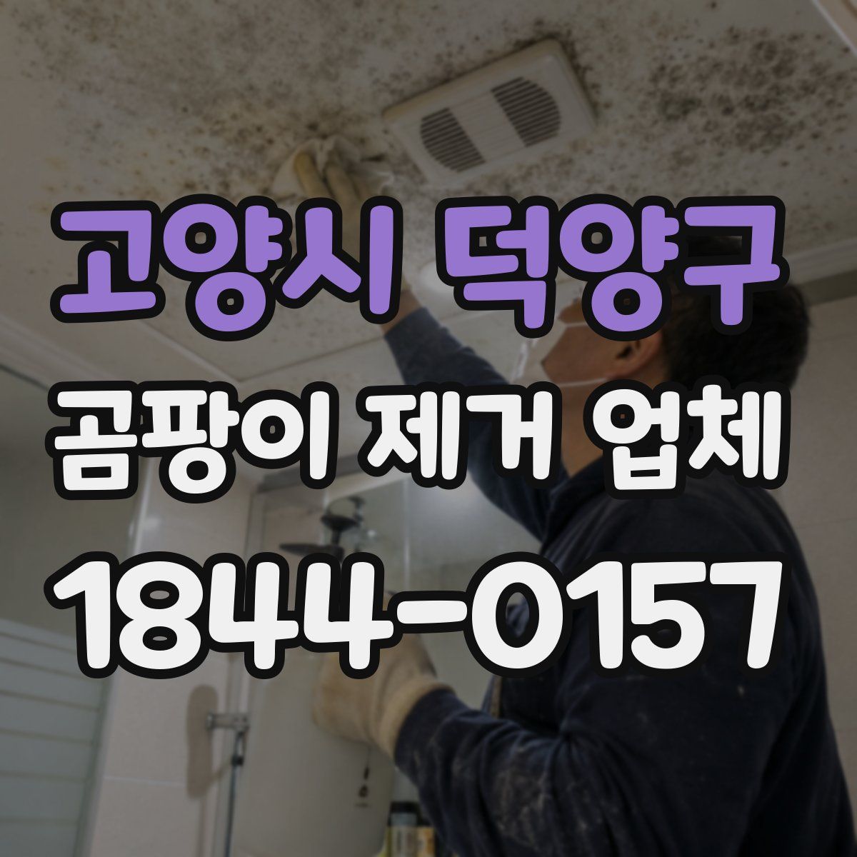 고양시 덕양구 곰팡이 제거 업체