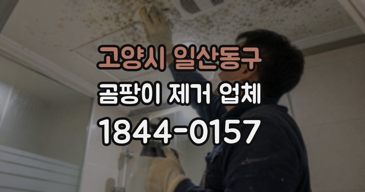 고양시 일산동구 곰팡이 제거 업체