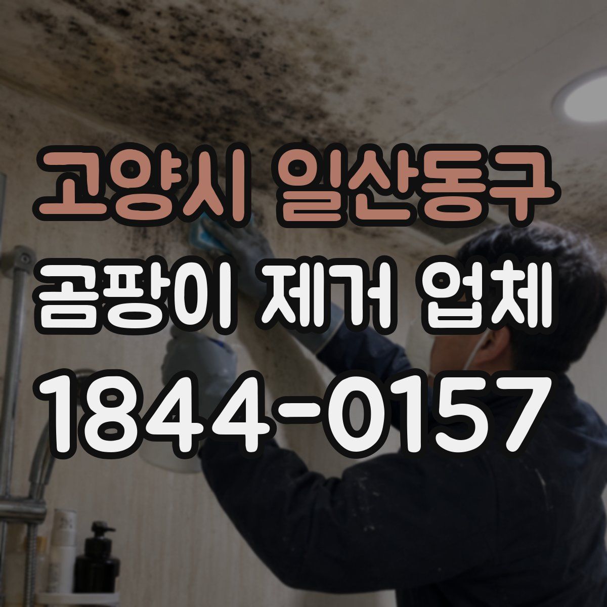 고양시 일산동구 곰팡이 제거 업체