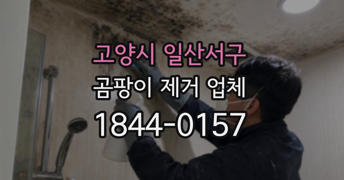 고양시 일산서구 곰팡이 제거 업체