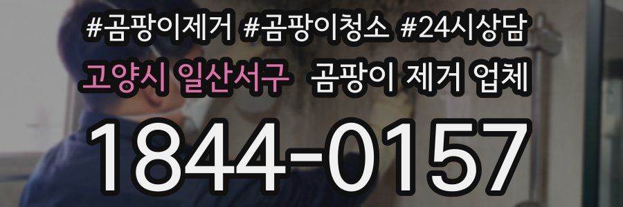 고양시 일산서구 곰팡이 제거 업체
