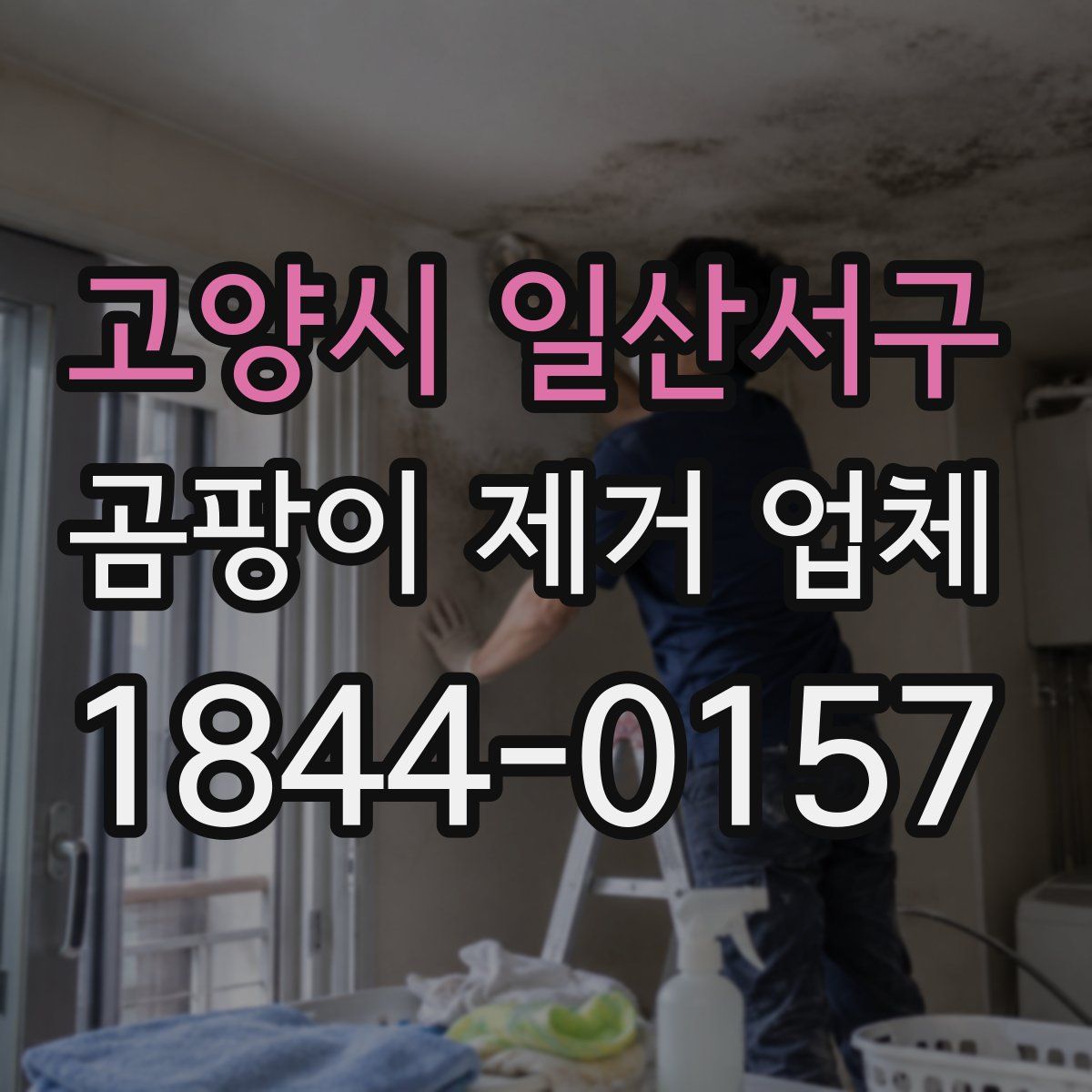 고양시 일산서구 곰팡이 제거 업체