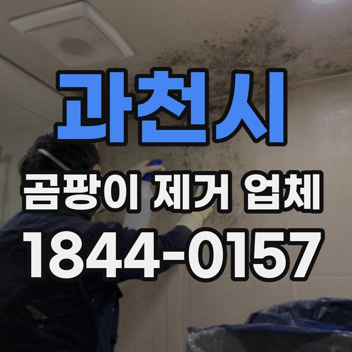 과천시 곰팡이 제거 업체