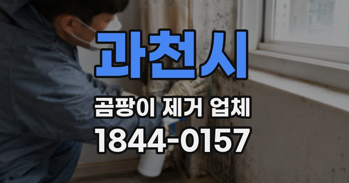 과천시 곰팡이 제거 업체
