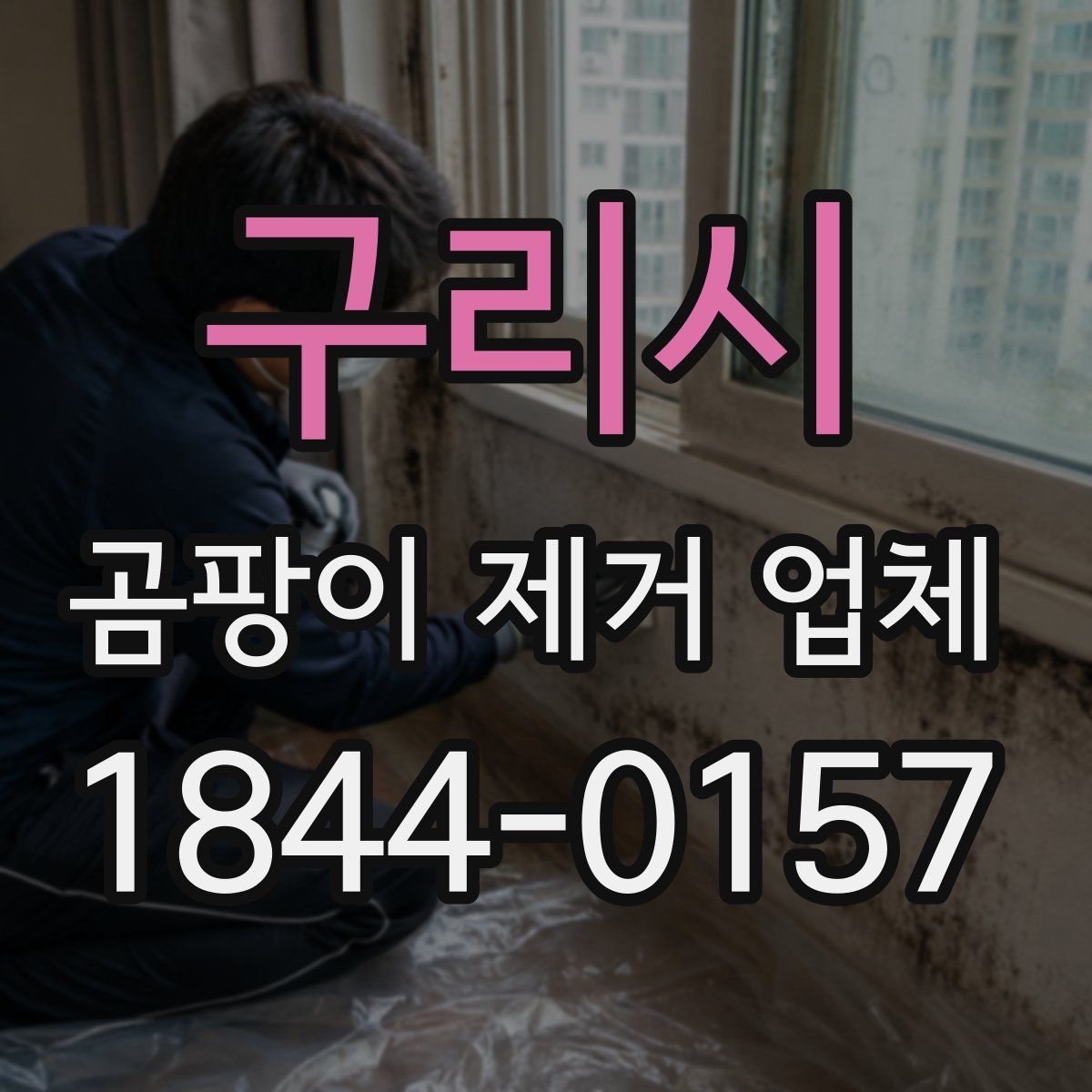 구리시 곰팡이 제거 업체