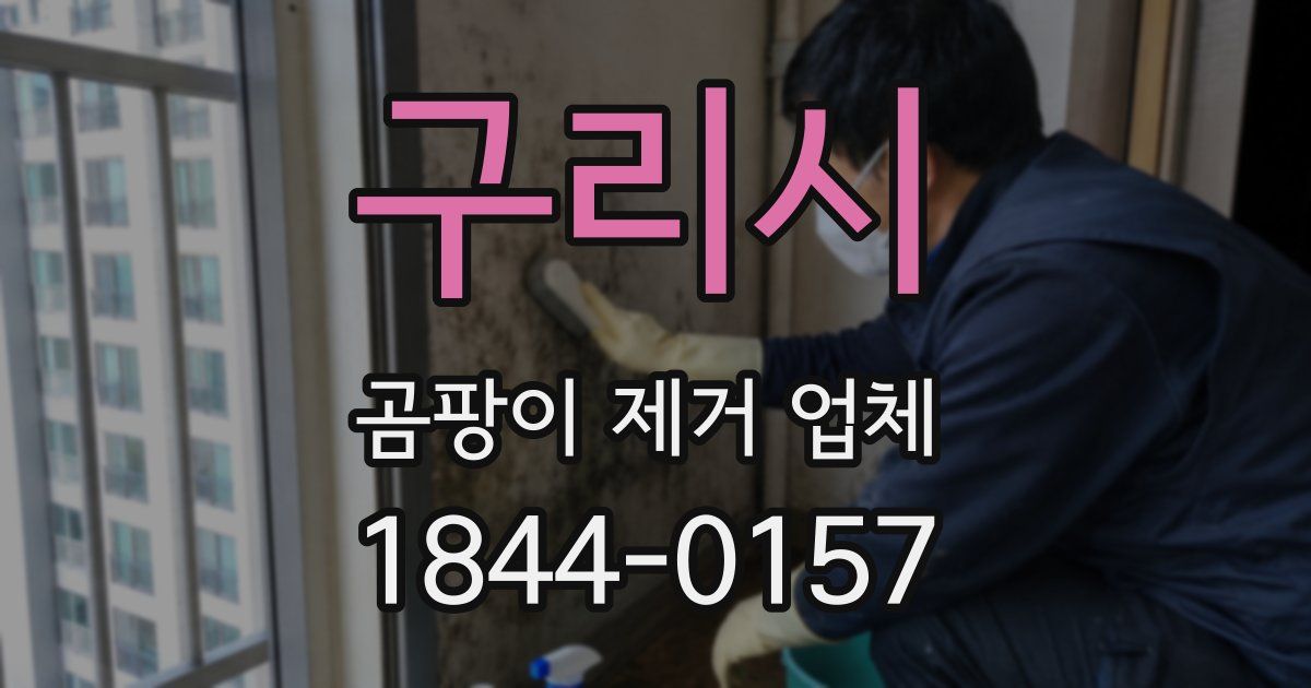 구리시 곰팡이 제거 업체