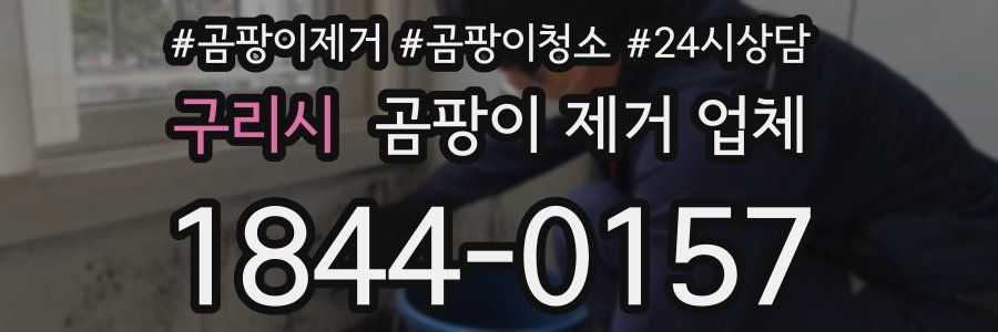 구리시 곰팡이 제거 업체