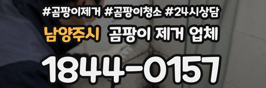 남양주시 곰팡이 제거 업체