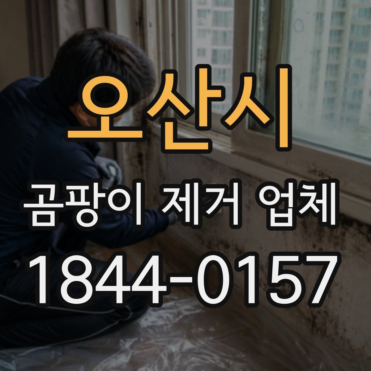 오산시 곰팡이 제거 업체 세대 간 번짐 여부 확인이 필요한 경우