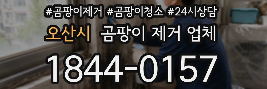 오산시 곰팡이 제거 업체