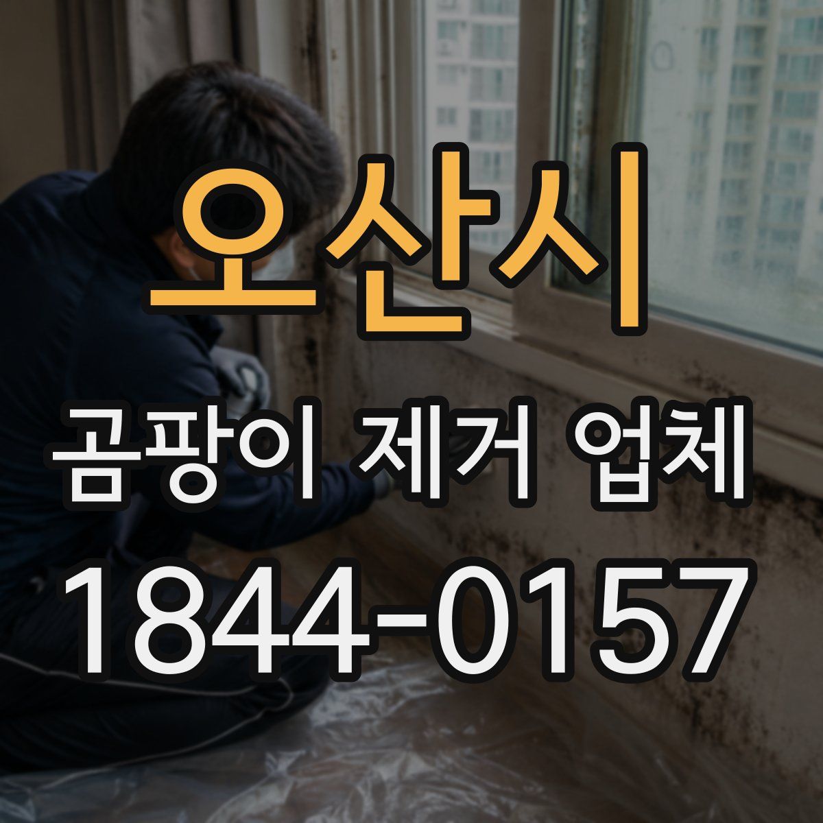 오산시 곰팡이 제거 업체