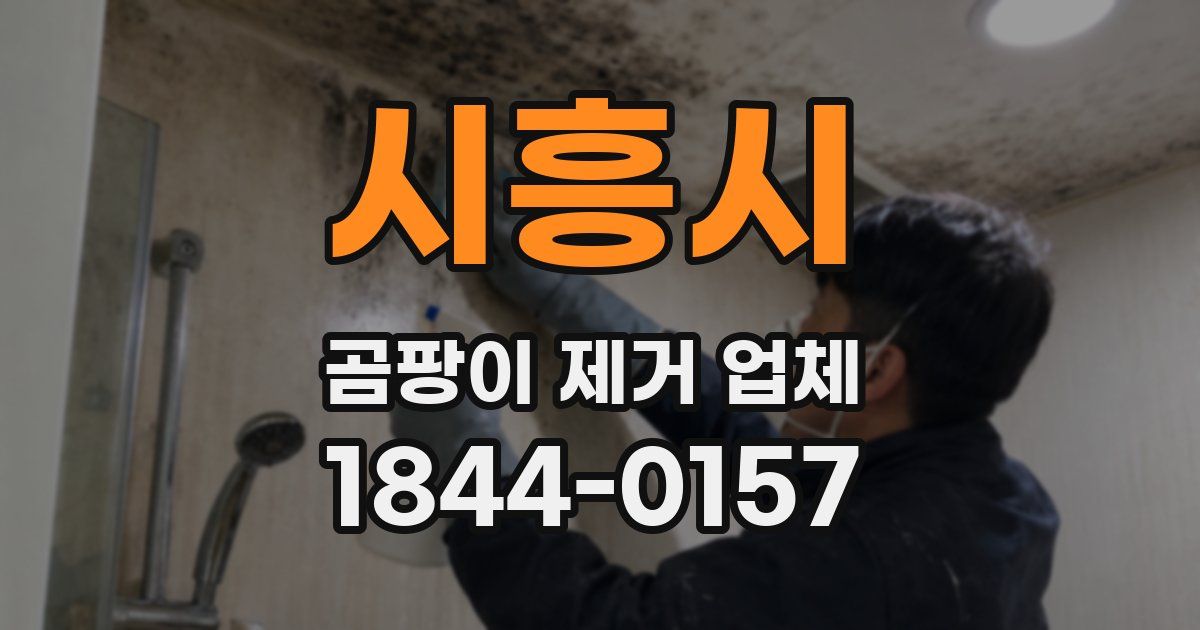 시흥시 곰팡이 제거 업체