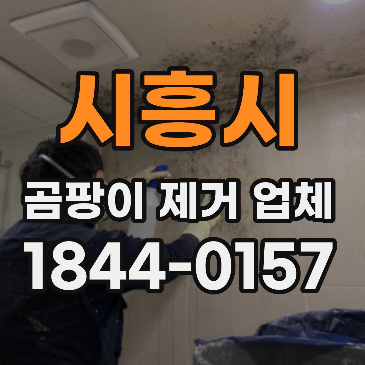 시흥시 곰팡이 제거 업체