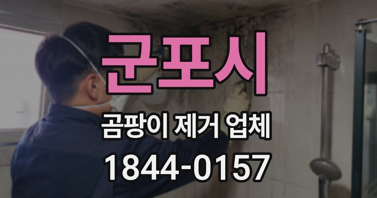 군포시 곰팡이 제거 업체