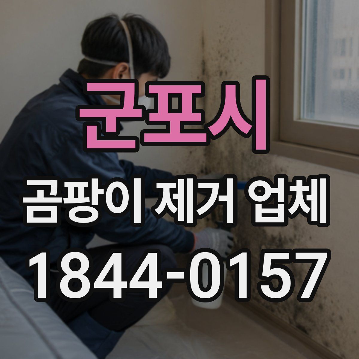 군포시 곰팡이 제거 업체