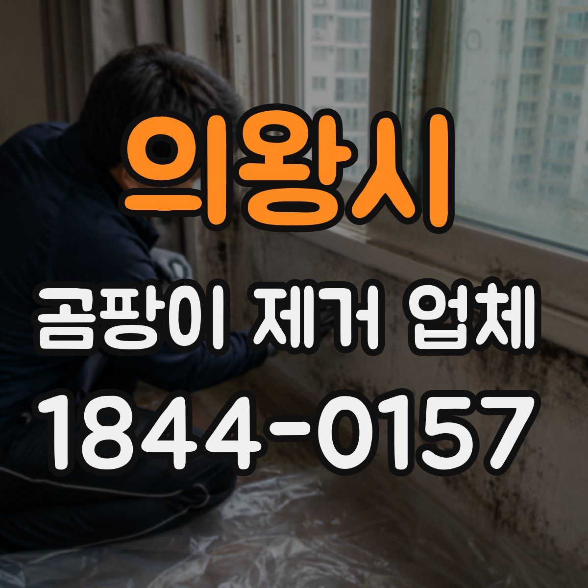 의왕시 곰팡이 제거 업체