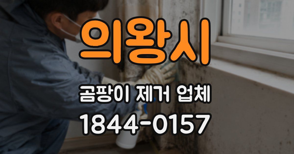 의왕시 곰팡이 제거 업체