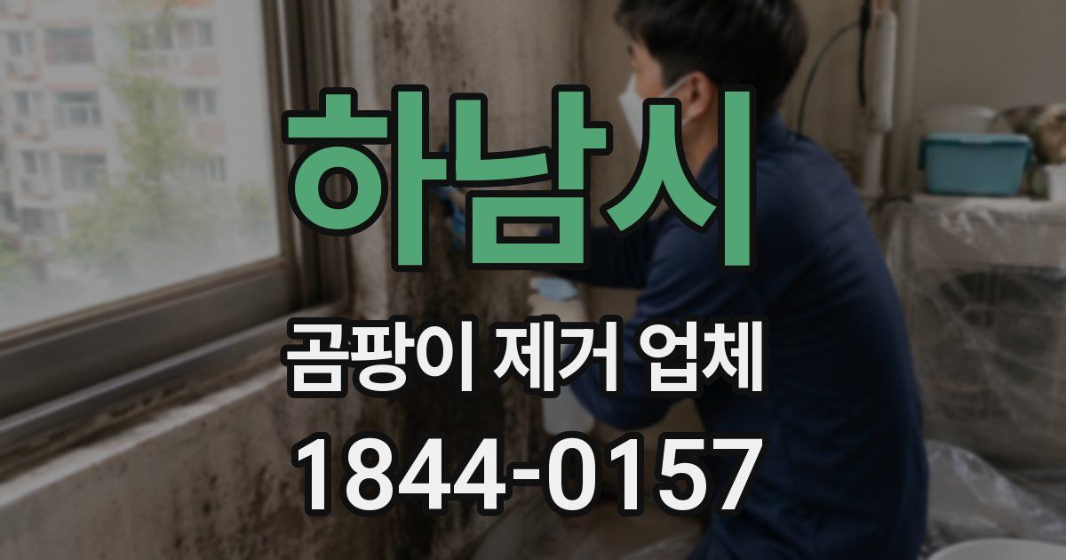 하남시 곰팡이 제거 업체