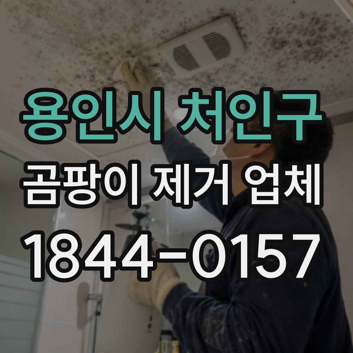 용인시 처인구 곰팡이 제거 업체