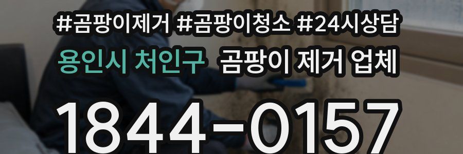 용인시 처인구 곰팡이 제거 업체