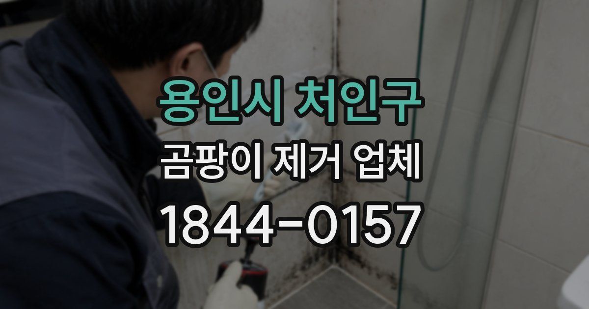용인시 처인구 곰팡이 제거 업체