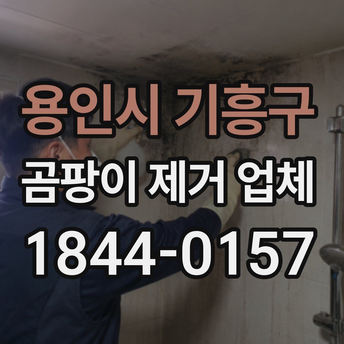 용인시 기흥구 곰팡이 제거 업체 실내 공기와 습도 상태를 함께 확인해야 하는 이유