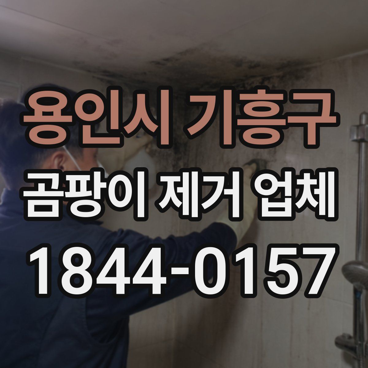 용인시 기흥구 곰팡이 제거 업체