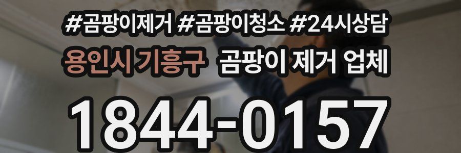 용인시 기흥구 곰팡이 제거 업체