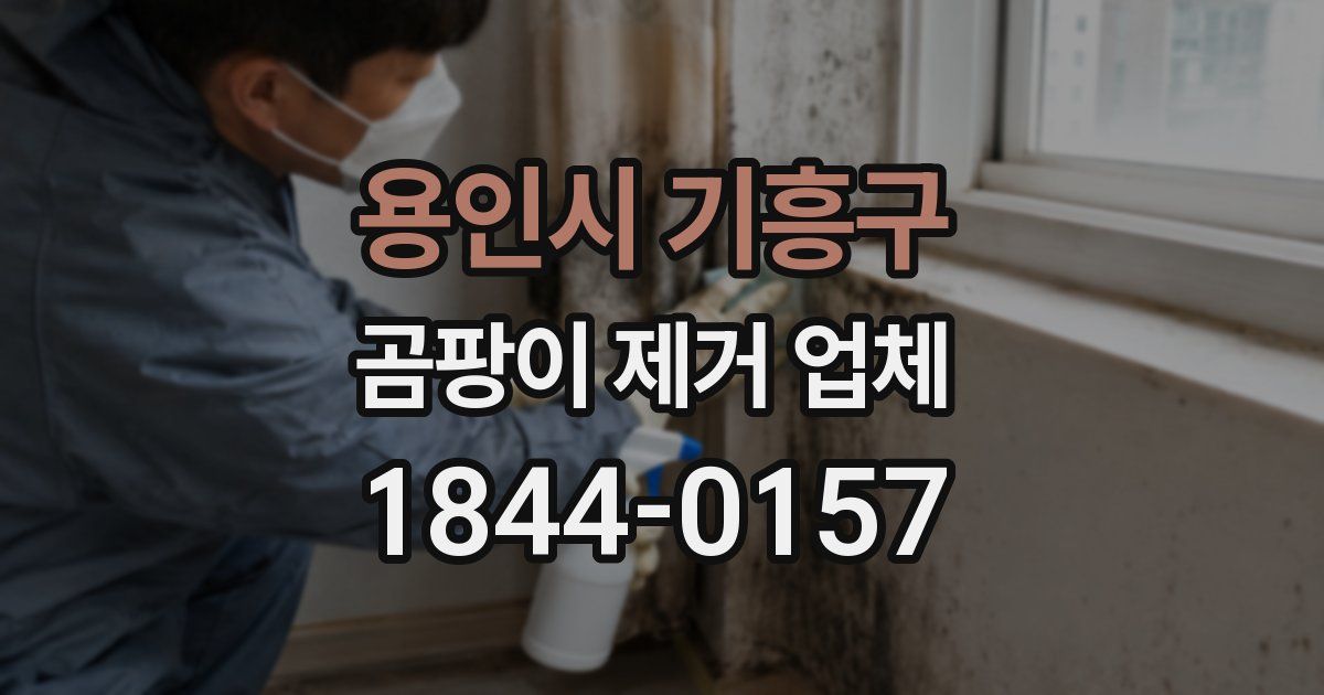 용인시 기흥구 곰팡이 제거 업체