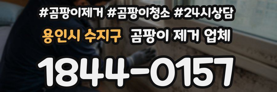 용인시 수지구 곰팡이 제거 업체