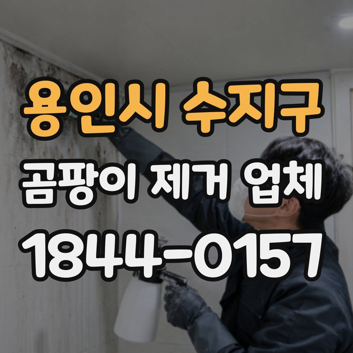 용인시 수지구 곰팡이 제거 업체