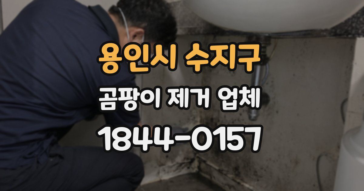 용인시 수지구 곰팡이 제거 업체
