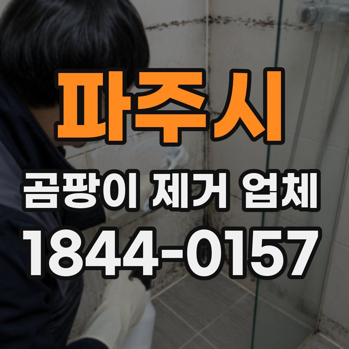 파주시 곰팡이 제거 업체