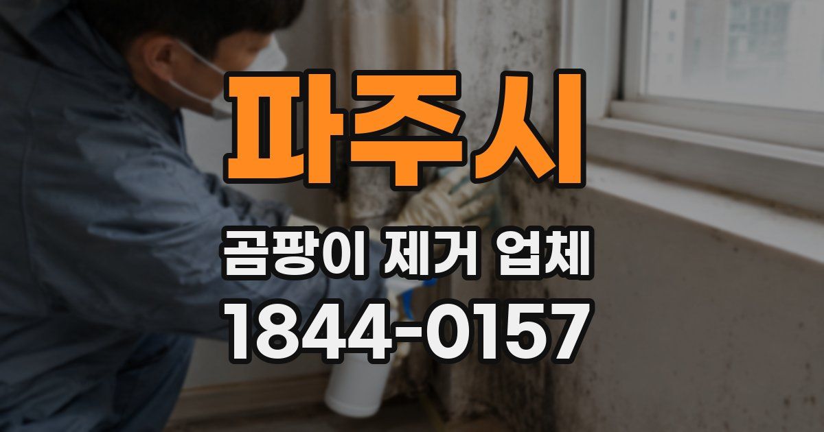 파주시 곰팡이 제거 업체