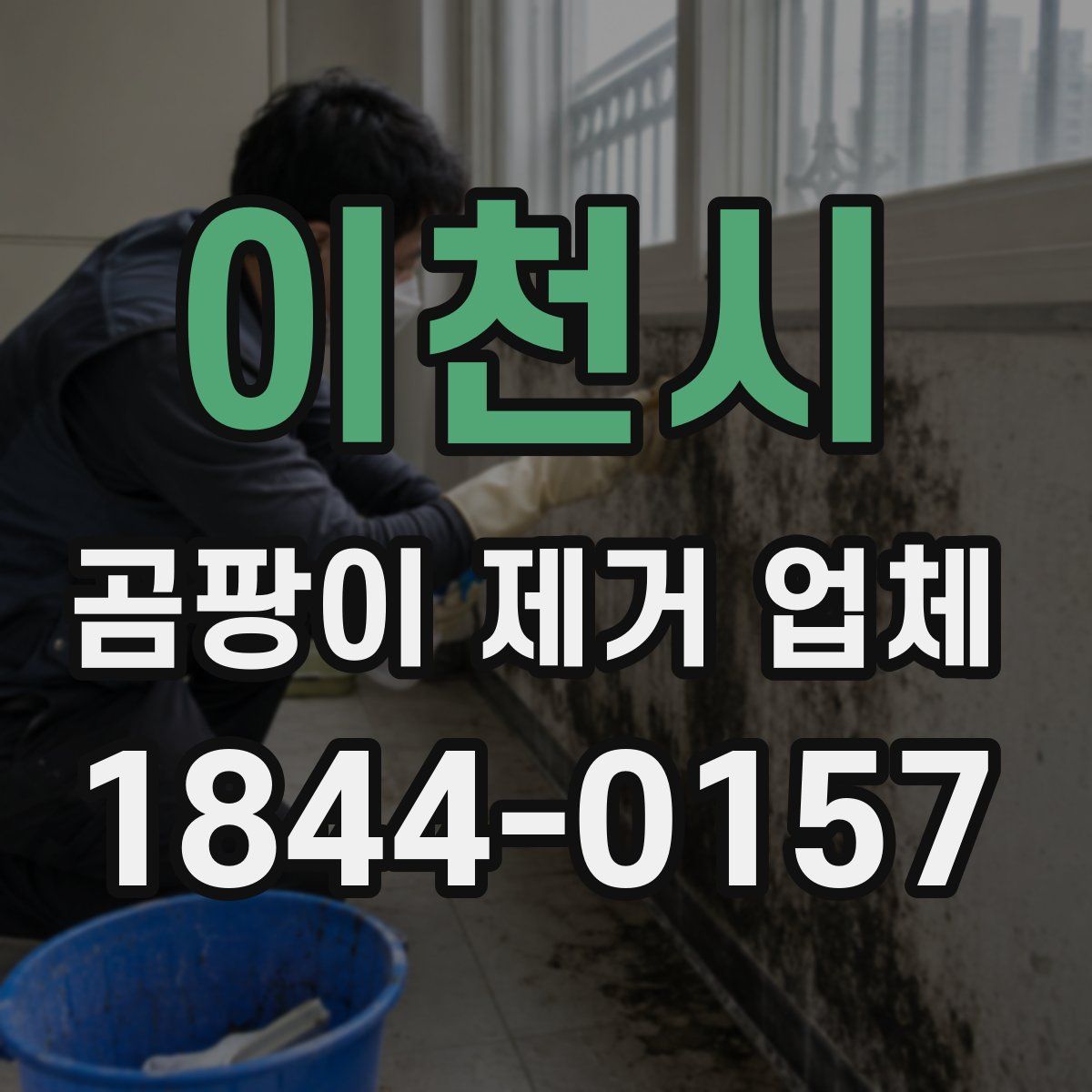 이천시 곰팡이 제거 업체