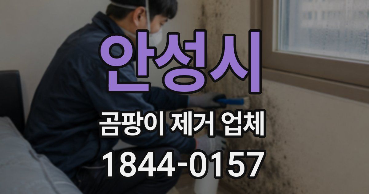 안성시 곰팡이 제거 업체