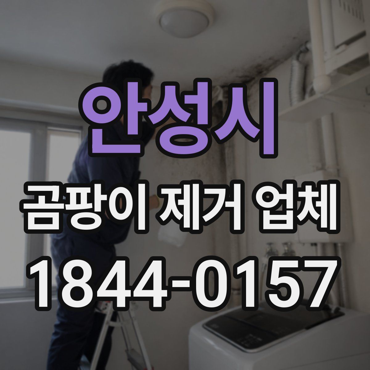 안성시 곰팡이 제거 업체
