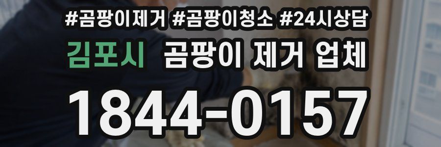 김포시 곰팡이 제거 업체