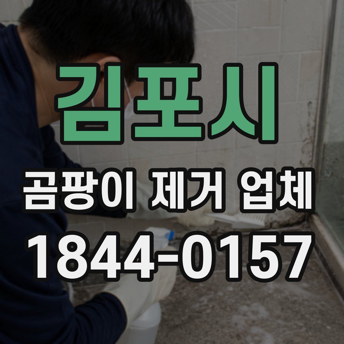 김포시 곰팡이 제거 업체