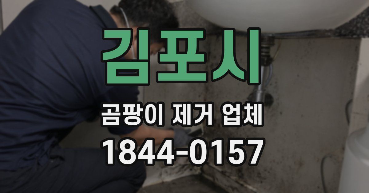 김포시 곰팡이 제거 업체