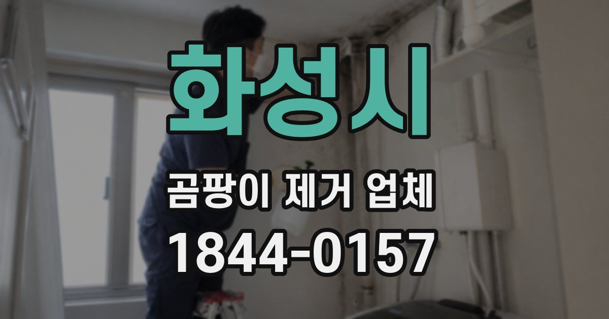 화성시 곰팡이 제거 업체