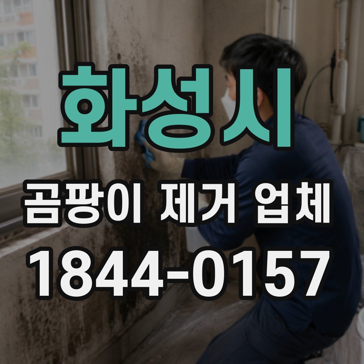 화성시 곰팡이 제거 업체