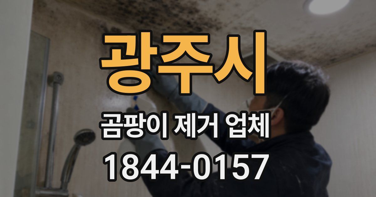 광주시 곰팡이 제거 업체