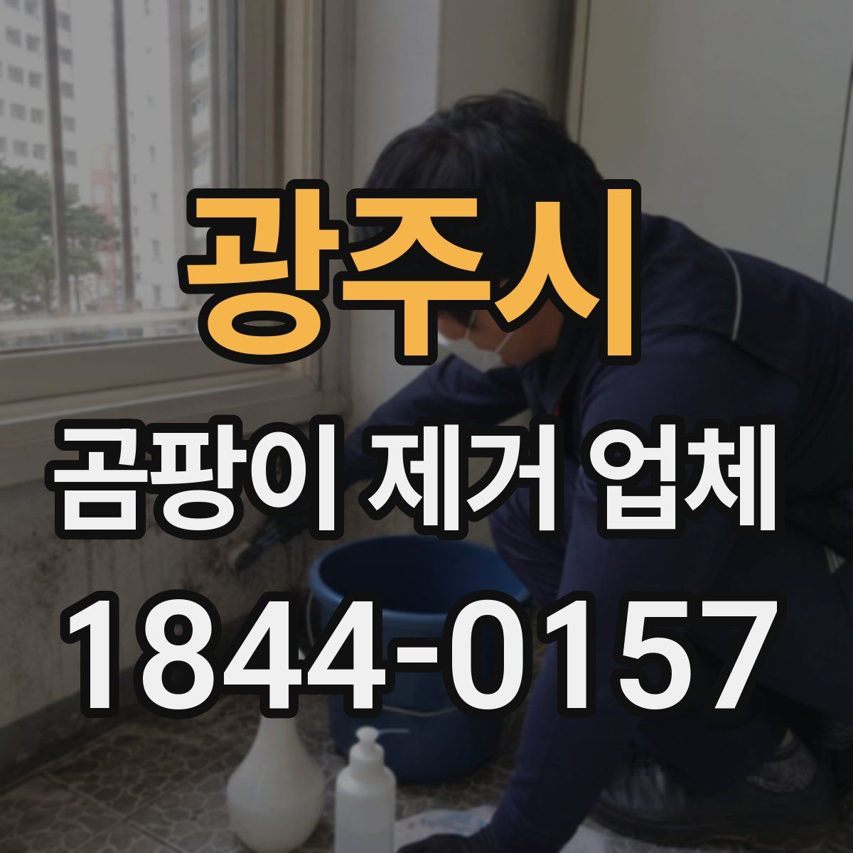 광주시 곰팡이 제거 업체