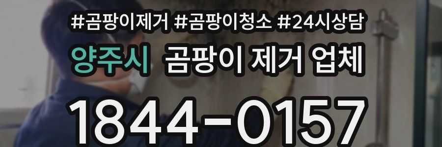 양주시 곰팡이 제거 업체