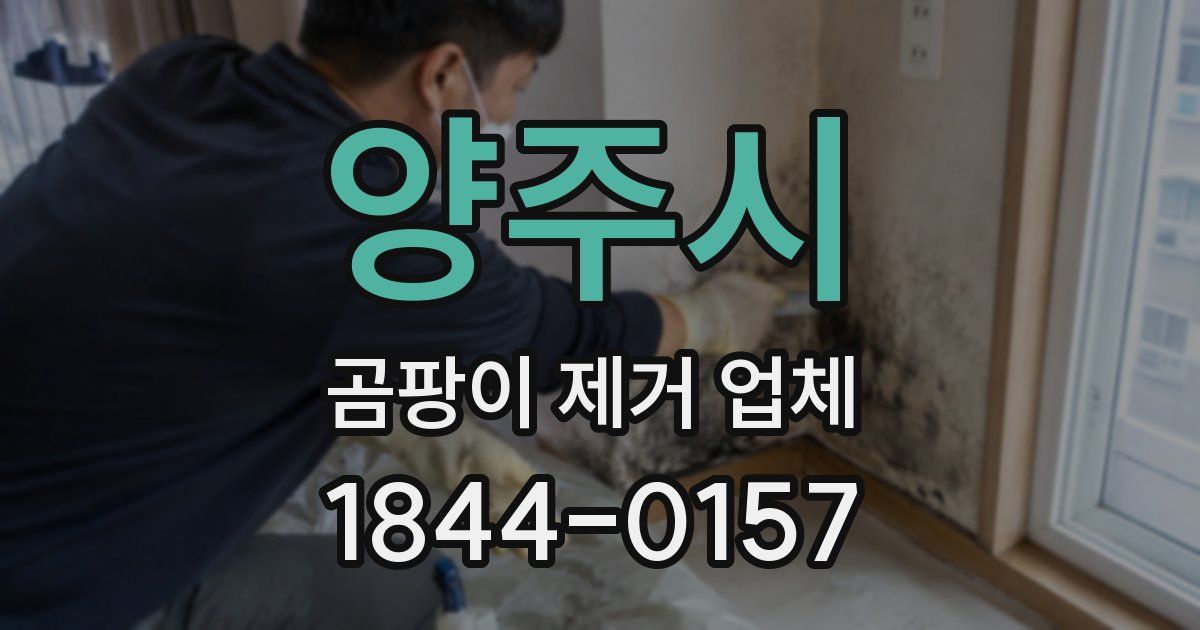 양주시 곰팡이 제거 업체