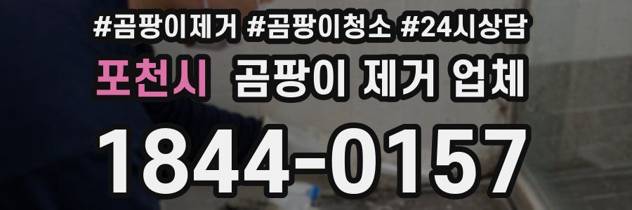 포천시 곰팡이 제거 업체