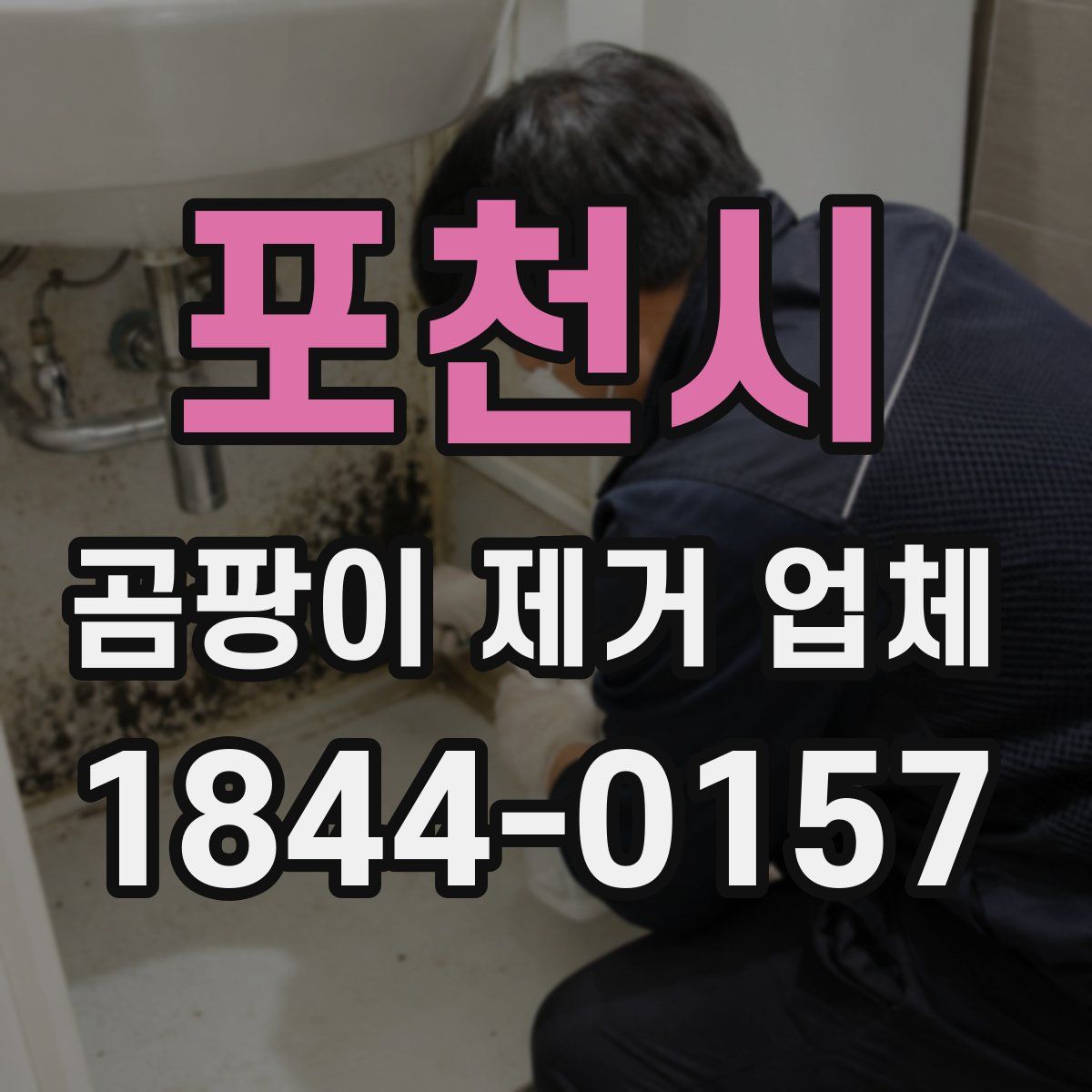 포천시 곰팡이 제거 업체