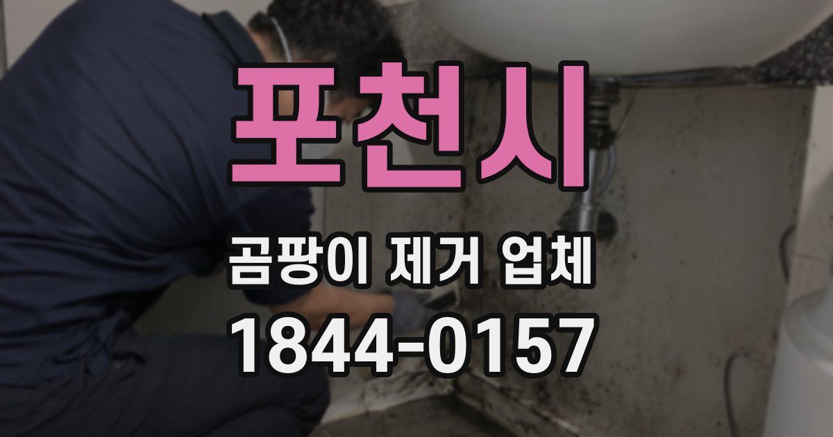 포천시 곰팡이 제거 업체