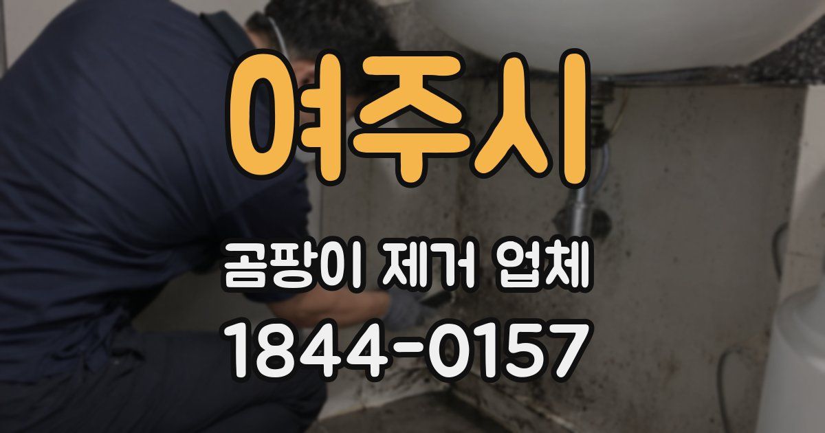 여주시 곰팡이 제거 업체